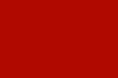 Holzschutzlack Holzlack Holzlasur wetterbeständiger Langzeitschutz Wetterschutzfarbe Holzschutzfarbe RAL 3000 Feuerrot // Sycolina Farbenwerke