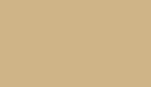 Holzschutzlack Holzlack Holzlasur wetterbeständiger Langzeitschutz Wetterschutzfarbe Holzschutzfarbe RAL 1001 Beige // Sycolina Farbenwerke
