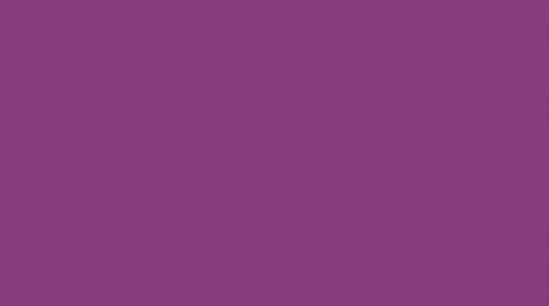 Holzschutzlack Holzlack Holzlasur wetterbeständiger Langzeitschutz Wetterschutzfarbe Holzschutzfarbe RAL 4008 Signalviolett // Sycolina Farbenwerke